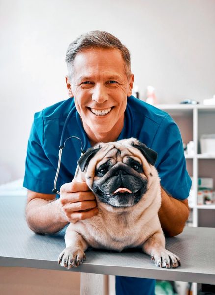Retrato de Veterinario con Perro en su consulta Fotografia de Daniel Hubscher 2025