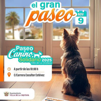 portada inicio paseo canino